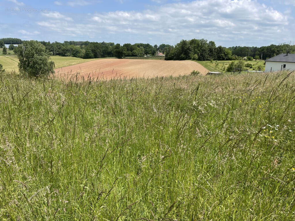 Juillac, campagne, belles vues campagne - photo 2