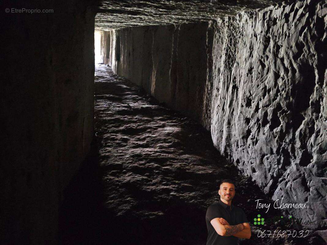 Maison à MONTOIRE-SUR-LE-LOIR