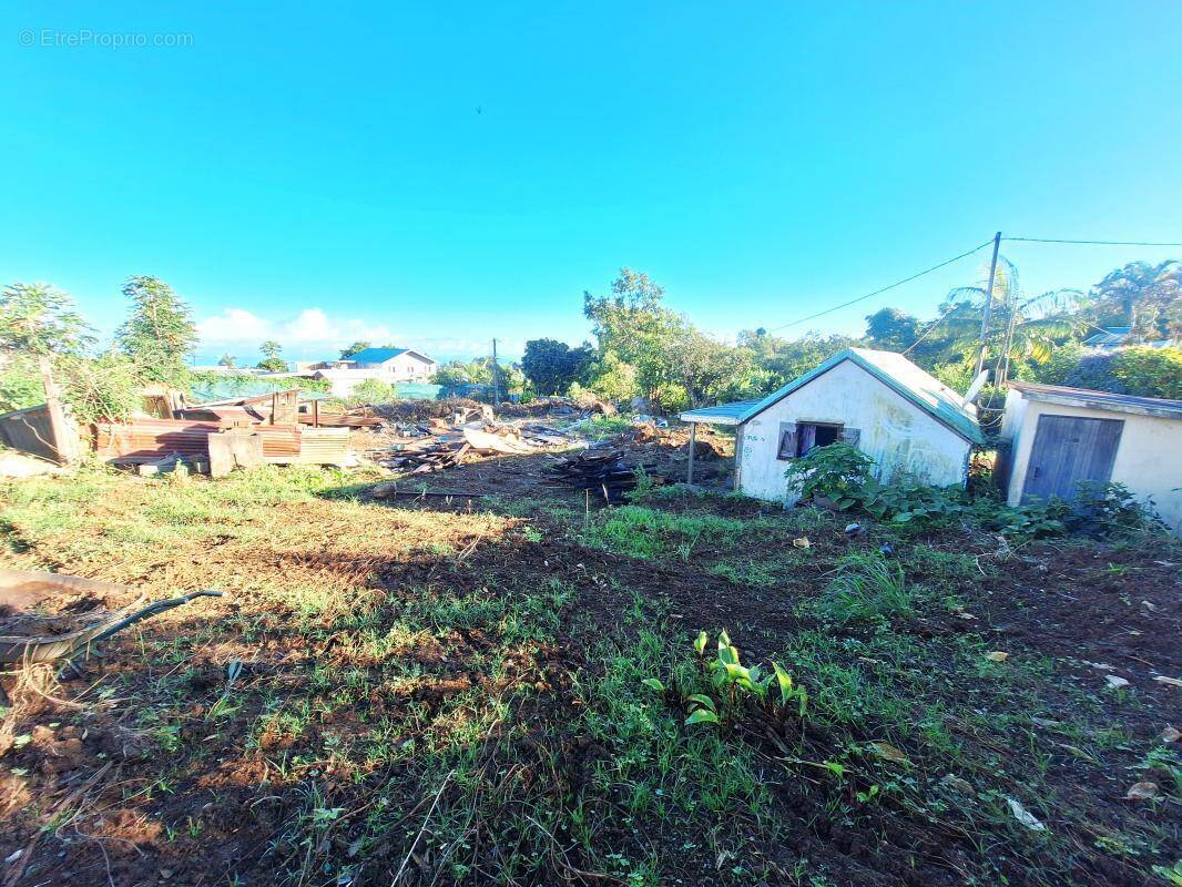 Terrain à SAINT-PAUL