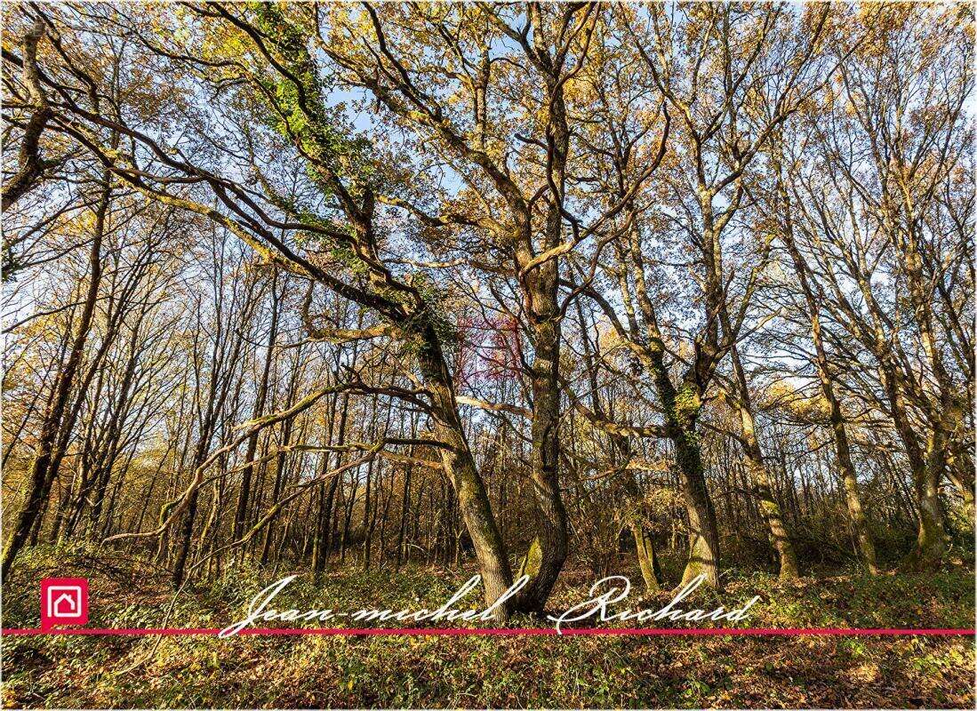 Terrain à COURMEMIN