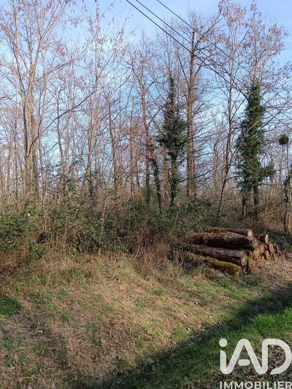 Photo 4 - Terrain à SAINTE-GEMME