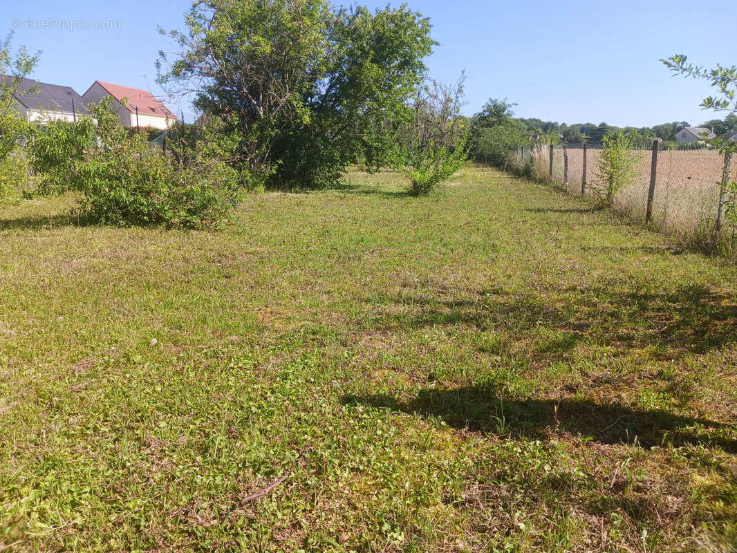 Terrain à PUISEAUX