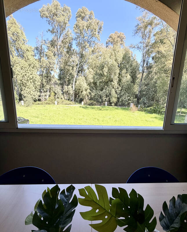 Appartement à CALVI