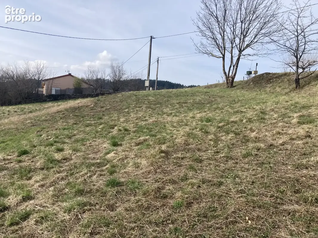Photo Terrain à Saint-Romain-D'ay au prix de 45 000€
