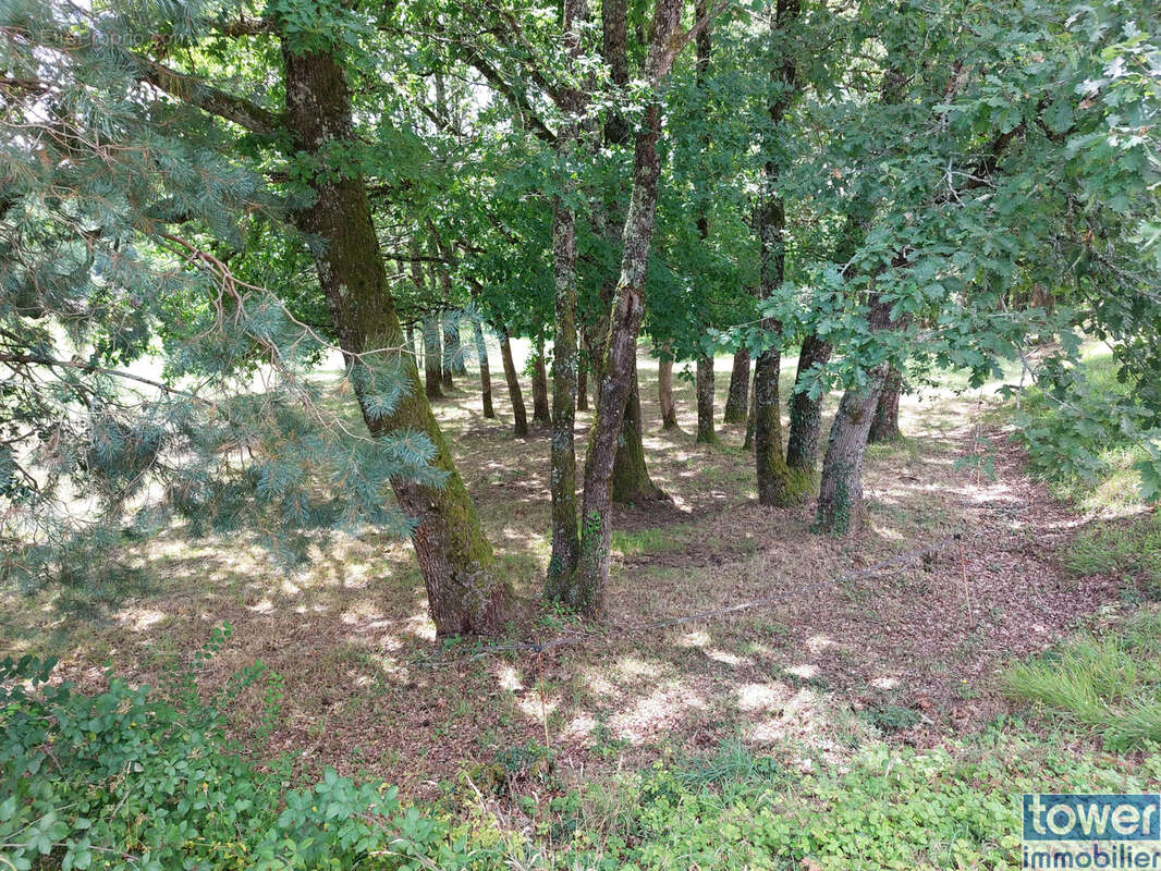 Terrain à SAINT-PARDOUX-LA-RIVIERE