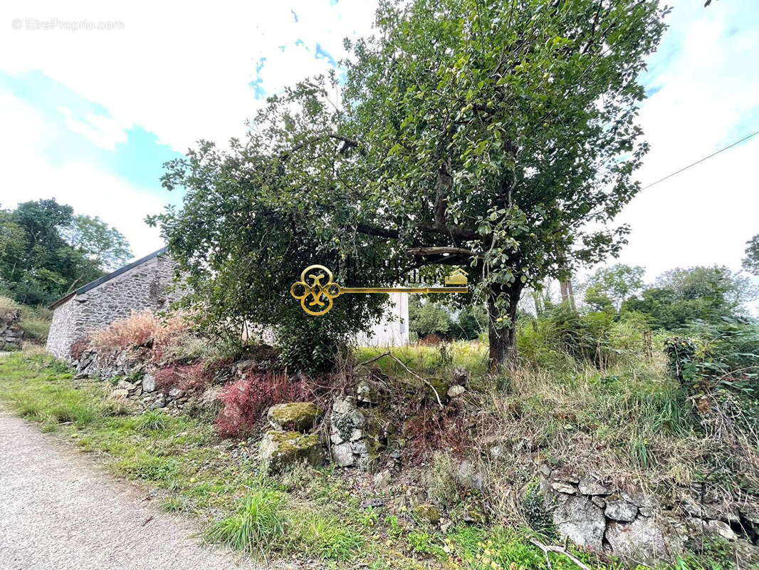 Maison à PLOUEGAT-GUERAND