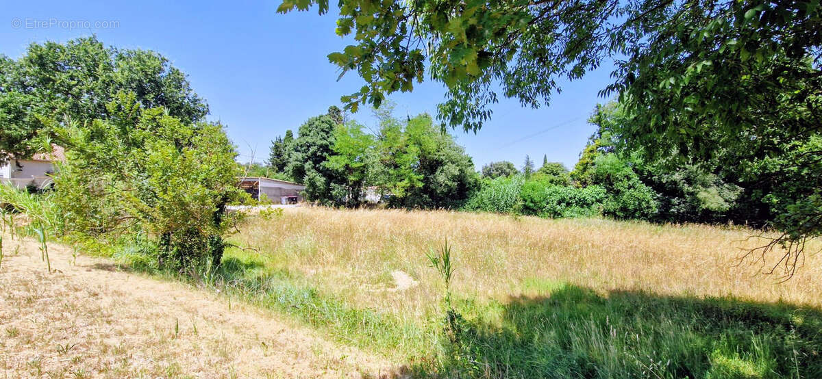 terrain plat et constructible 2135 m2 84500 bollene - photo 2