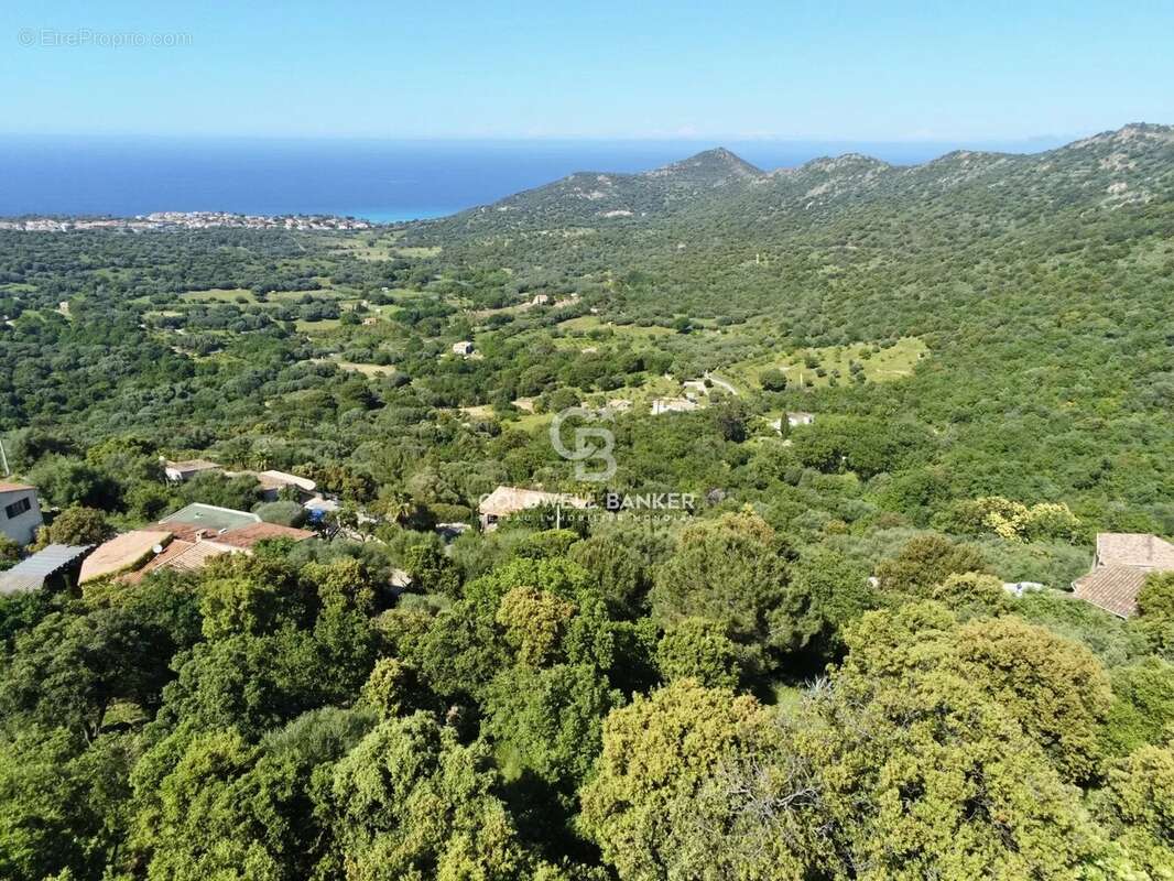 Terrain à MONTICELLO