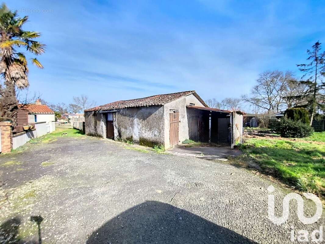 Photo 8 - Terrain à VIEILLEVIGNE