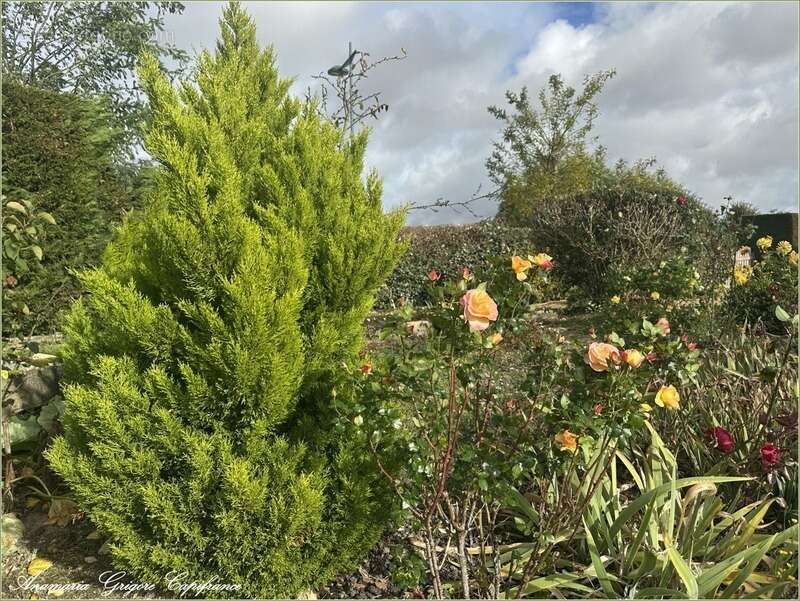 Maison à COURVILLE-SUR-EURE