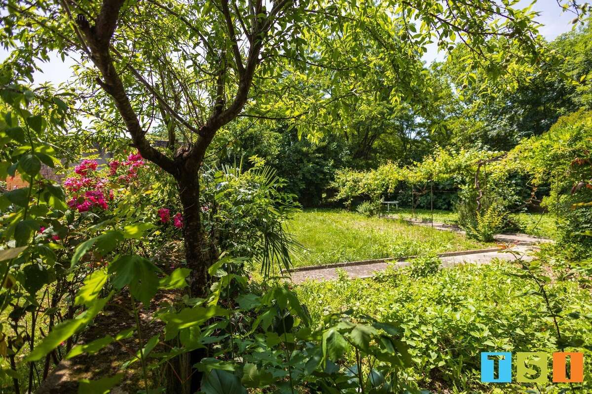 Maison à DAUMAZAN-SUR-ARIZE