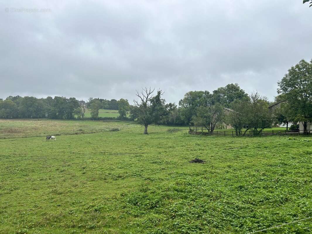 Terrain à BOISSEUIL