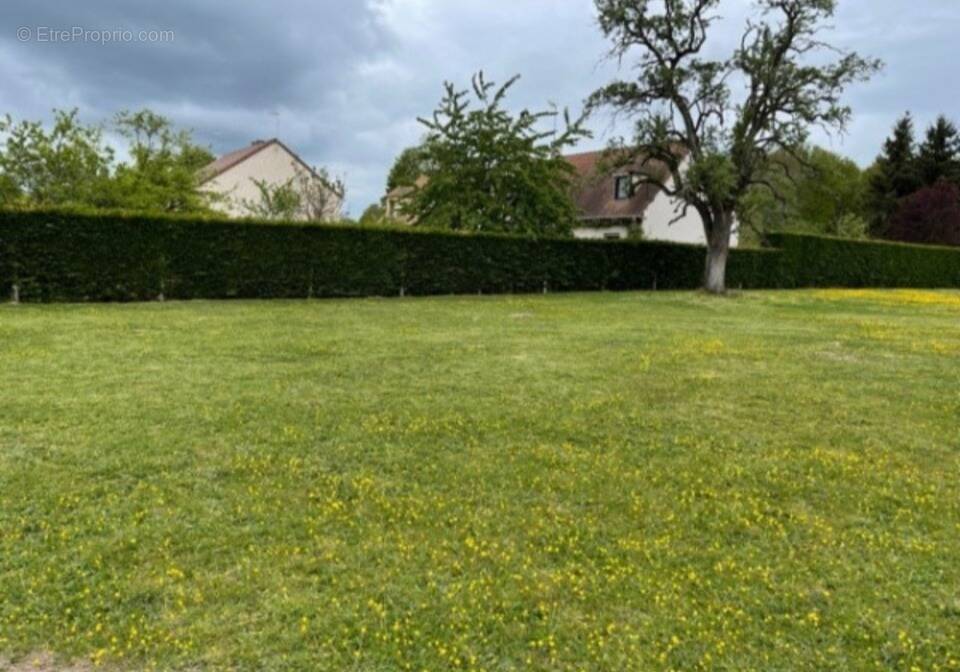 Terrain à SUCY-EN-BRIE