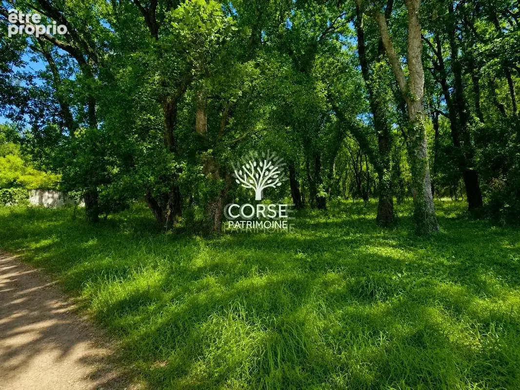 Terrain plat constructible 2500 m2 Migliacciaru - photo 5