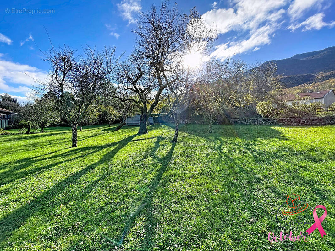 Terrain à COLLONGES
