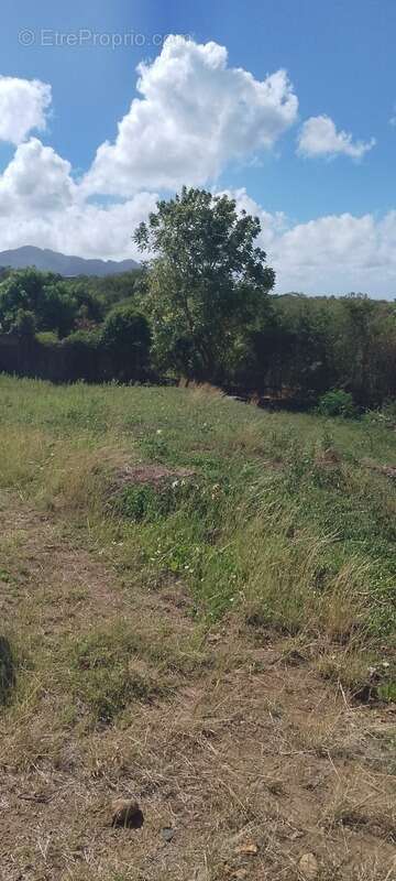 Terrain à BAILLIF