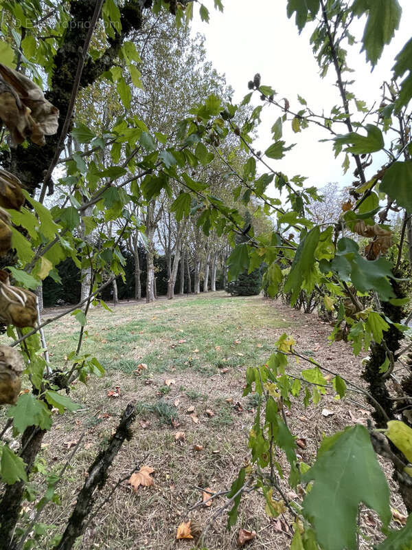 Terrain à GENEUILLE