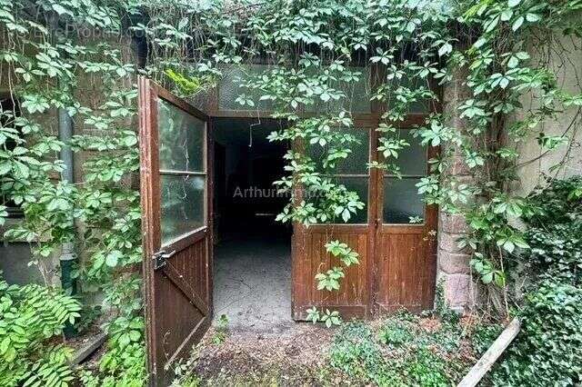 Maison à AMMERSCHWIHR