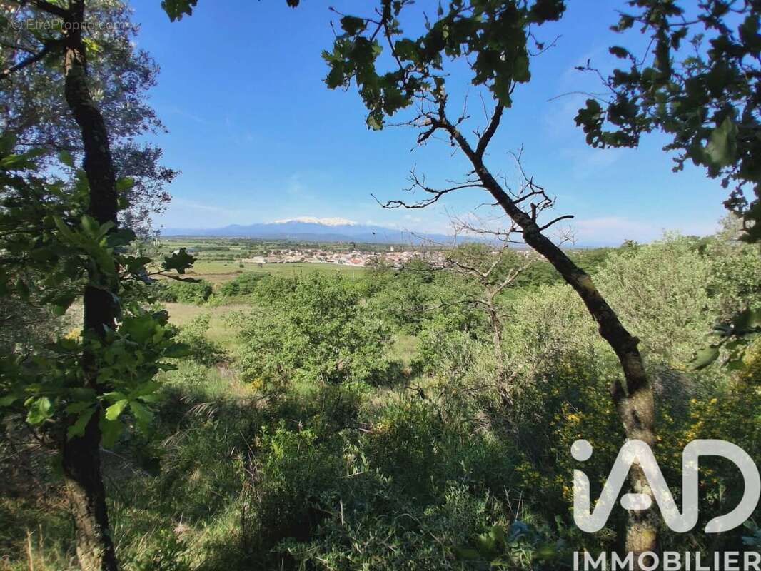 Photo 3 - Terrain à BROUILLA