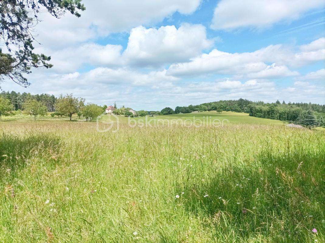 Authentique propriété en pierre avec dépendances sur près de 5 hectares de terrain - photo 26