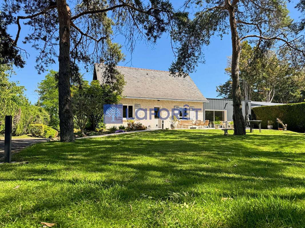 Maison à CHINON