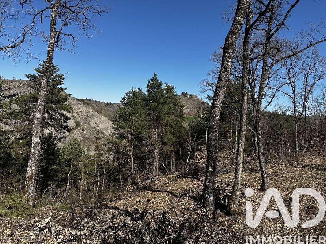 Photo 8 - Terrain à BARCILLONNETTE