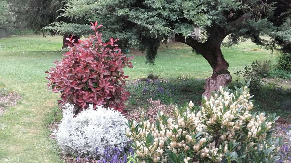 Maison à MONTROLLET