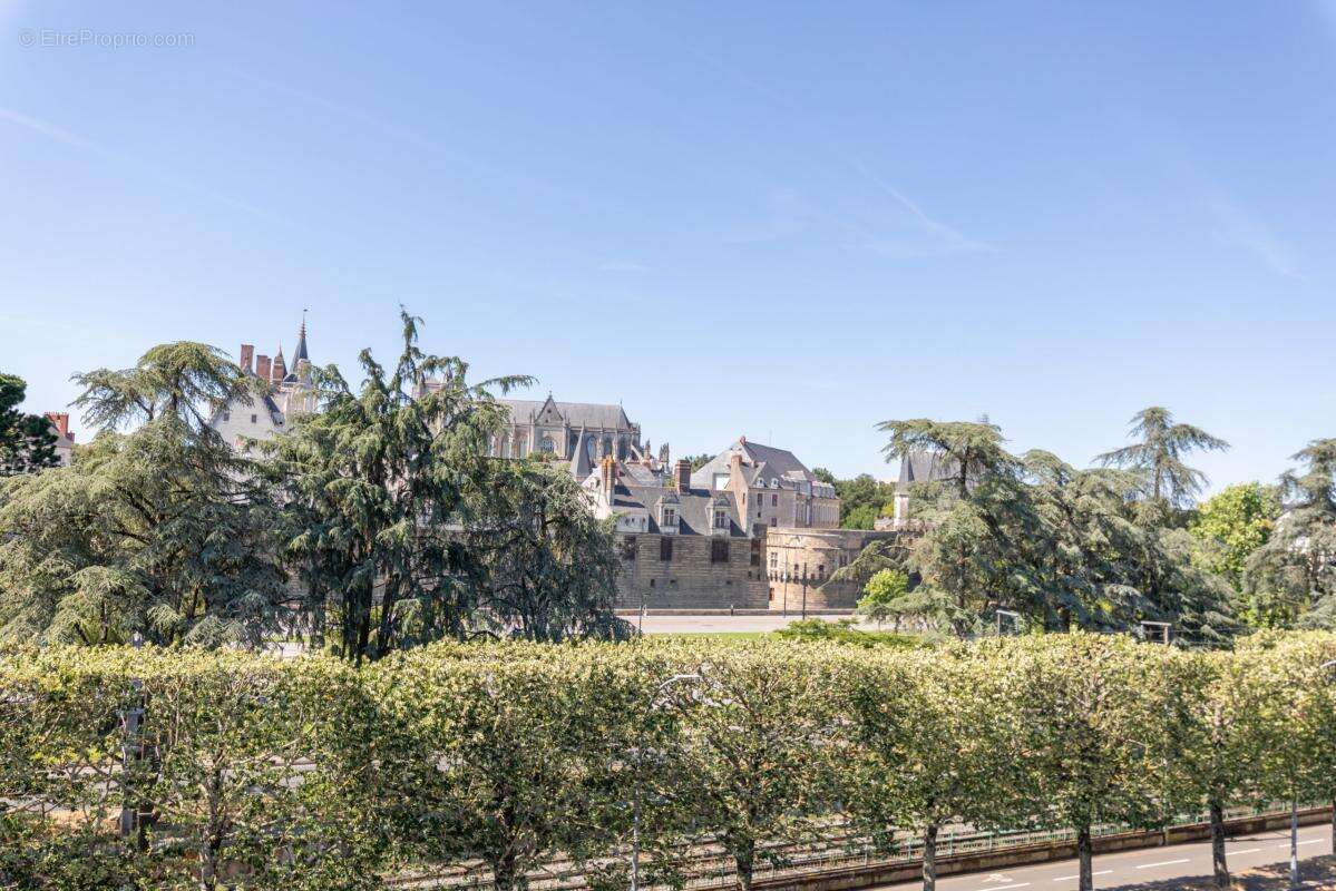 Type 4 face au Château - photo 10