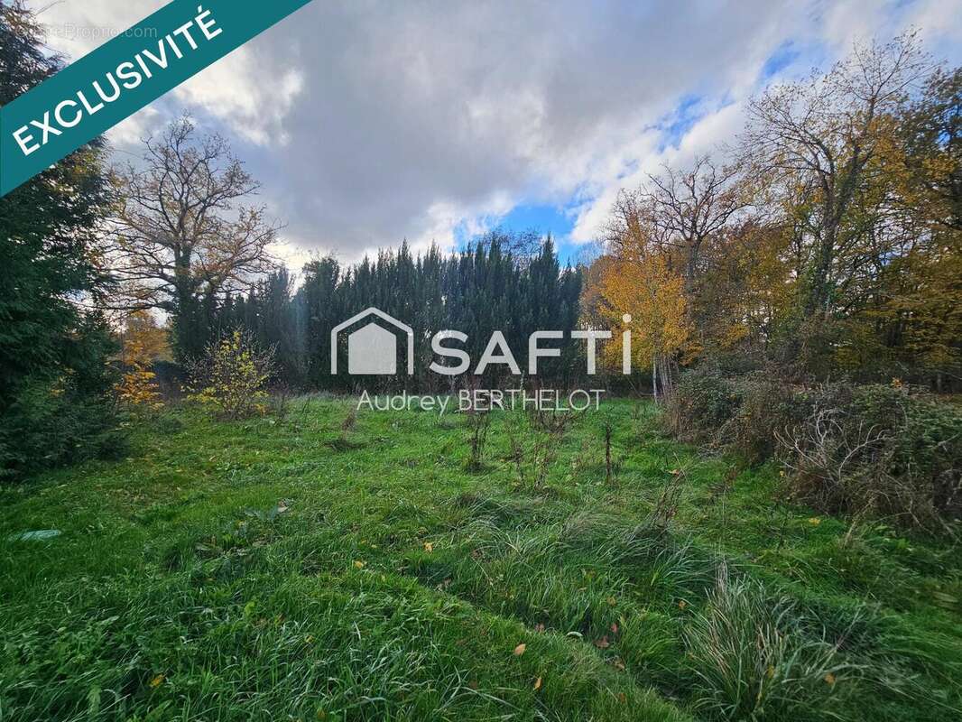 Photo 4 - Maison à SENS-BEAUJEU