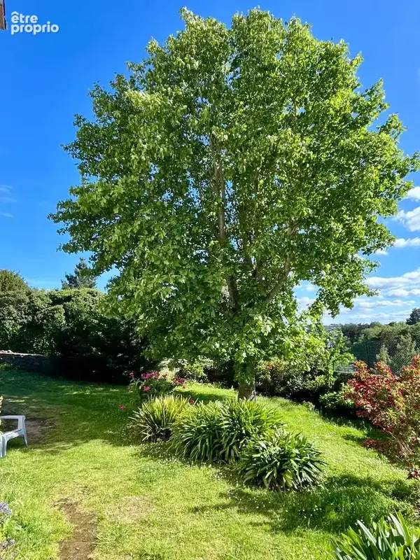 Maison 8 pièces 150 m² à vendre à Binic (22520) - photo 6