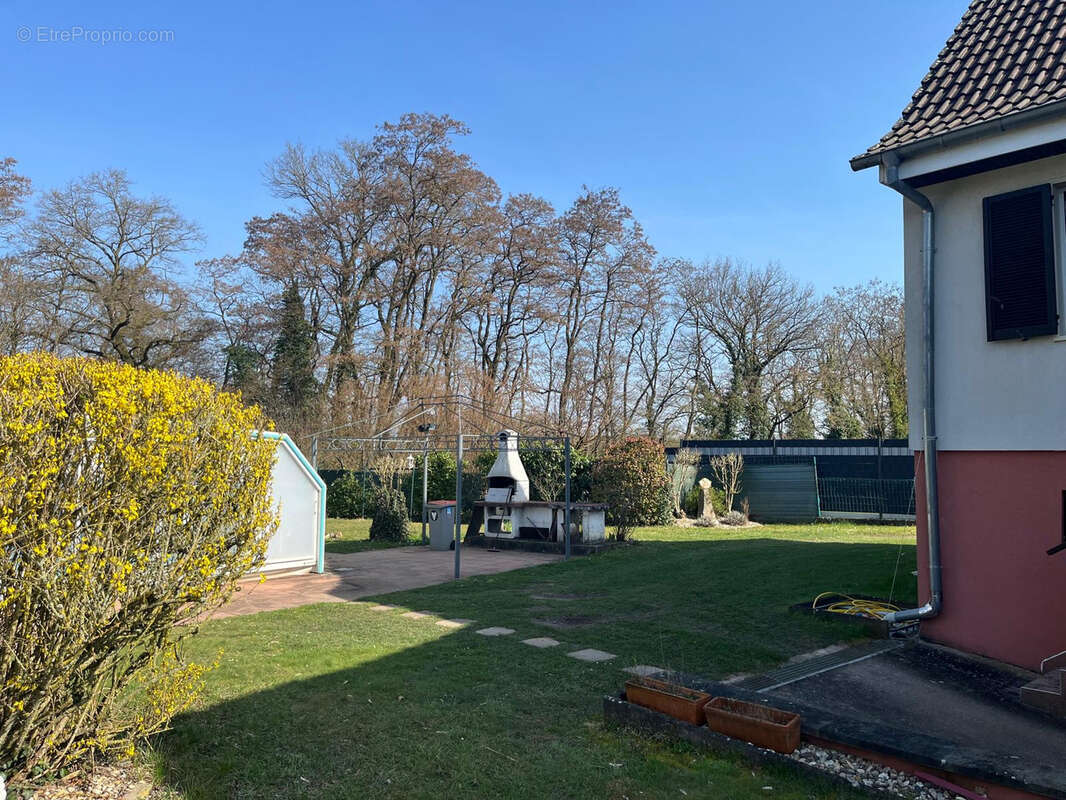 Maison à LAUTERBOURG