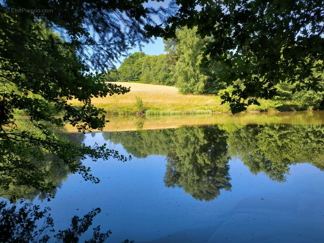 Terrain à SAINT-YRIEIX-LA-PERCHE