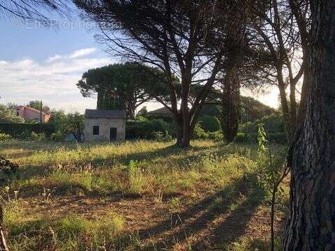 Terrain à SAINT-TROPEZ