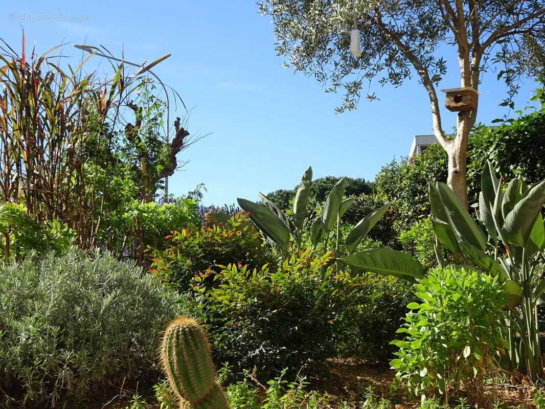 Appartement à HYERES