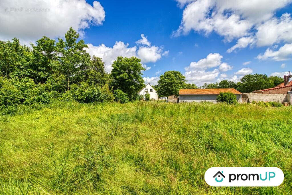 Terrain à OYE-PLAGE