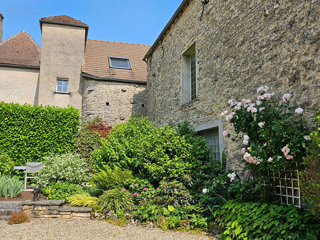 Photo 4 - Maison à LADOIX-SERRIGNY