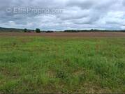 Terrain à SAINT-AGNE