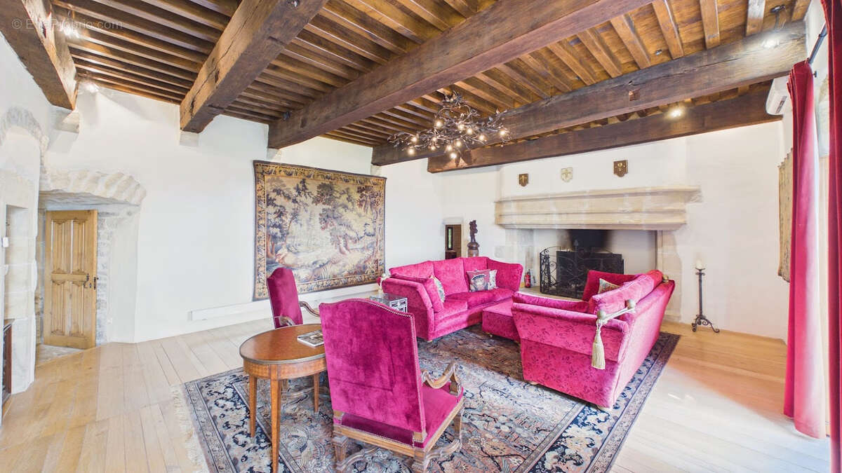 Château historique de 1501 avec vue panoramique et commodités à pied - photo 19