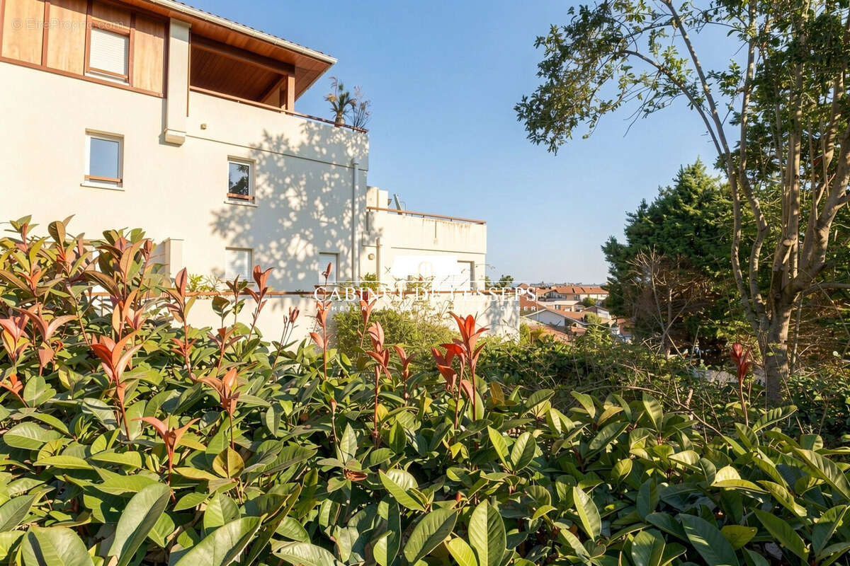 Appartement à SAINT-JEAN-DE-LUZ