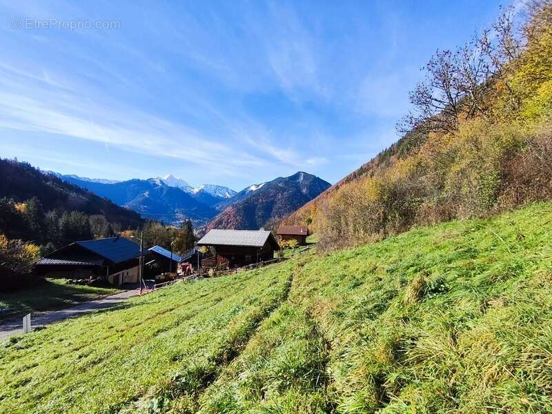 Terrain à SAINT-JEAN-D&#039;AULPS