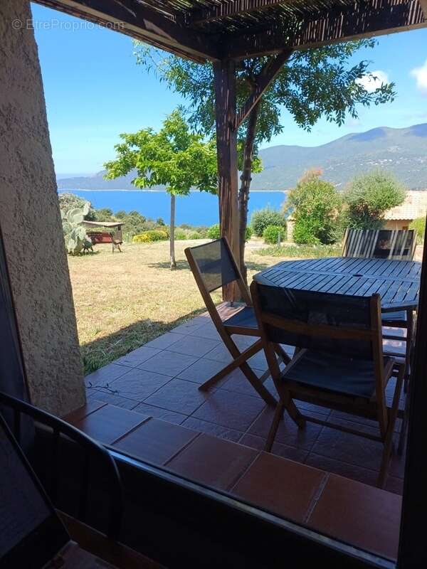 Exclusivité - T2 rénové, vue panoramique mer, montagne, en Corse du Sud (20) - photo 8