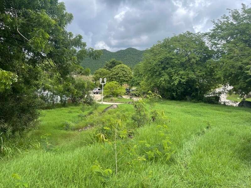 Terrain à SAINT-MARTIN