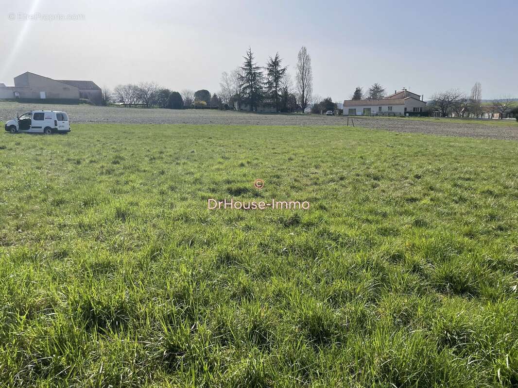 Terrain à VILLEBOIS-LAVALETTE