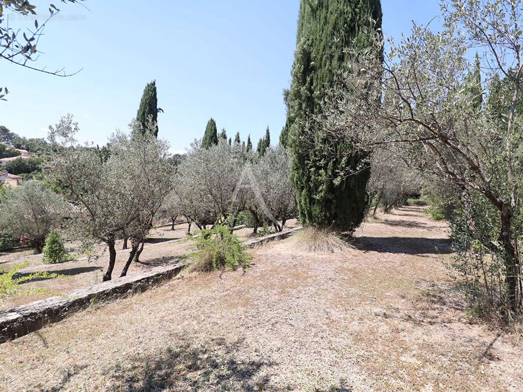 Villa lumineuse type 5 au calme sur 3612 m2 avec oliviers pierrevert - photo 3