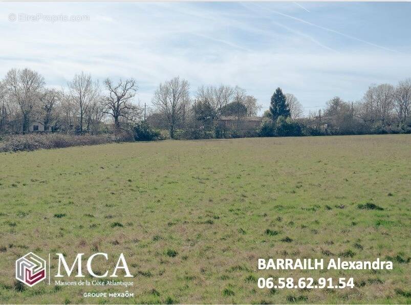 Terrain à LE POUT