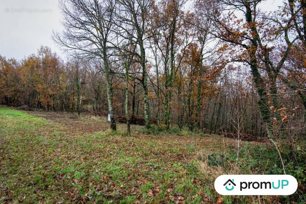 Terrain à VILLEMUR-SUR-TARN