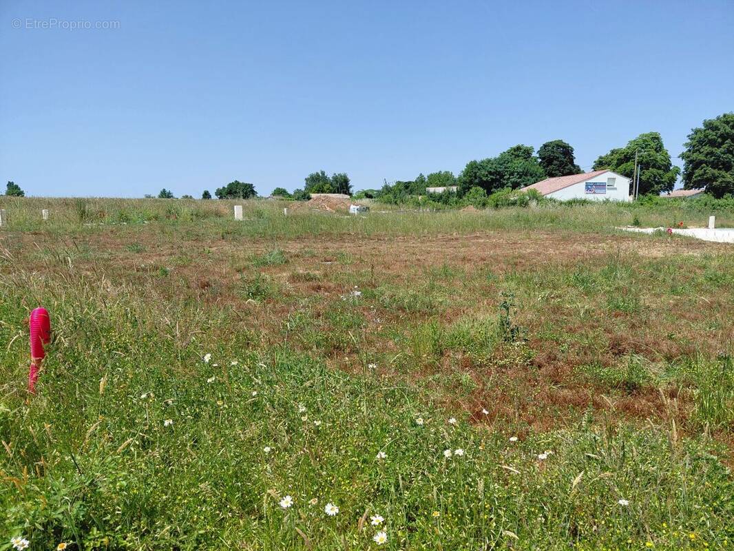 Terrain à SAINT-HIPPOLYTE