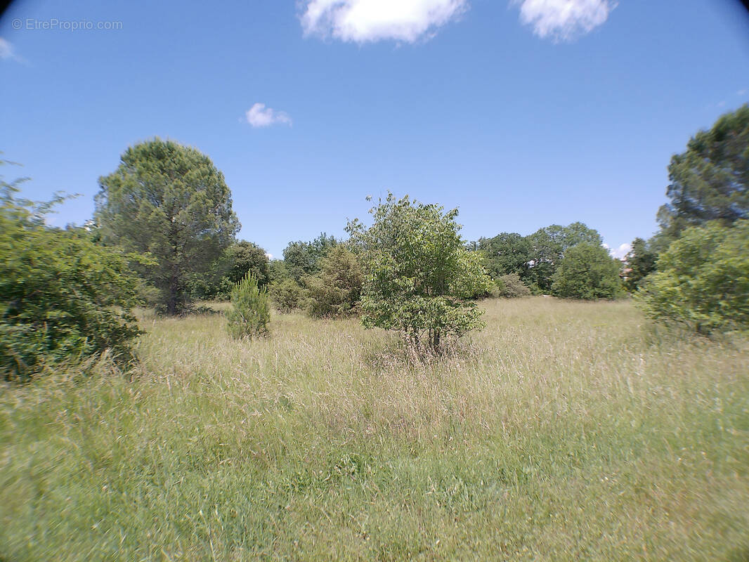 Terrain à SAUVE