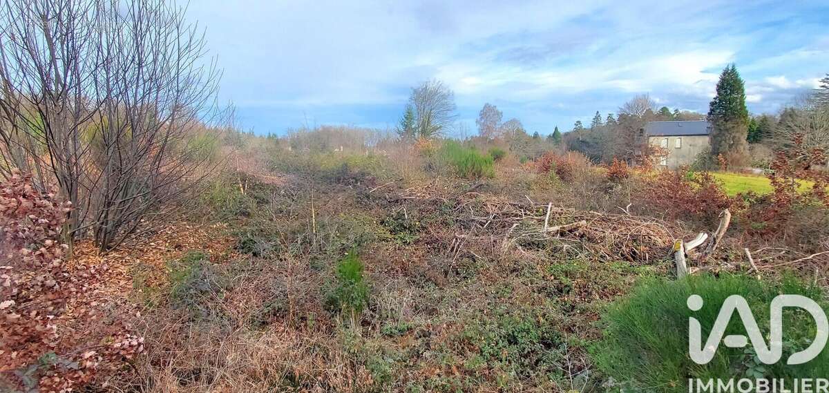 Photo 2 - Terrain à CHIRAC-BELLEVUE