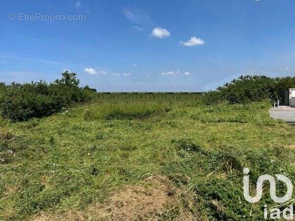 Photo 4 - Terrain à SAINT-MICHEL-CHEF-CHEF